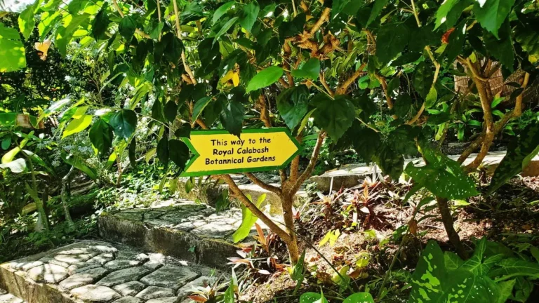 Part 15 The Garden